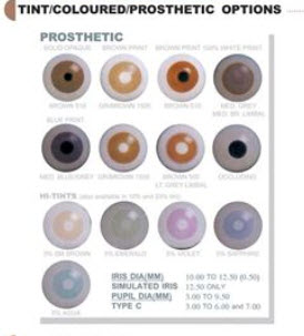 Prosthetic Lenses